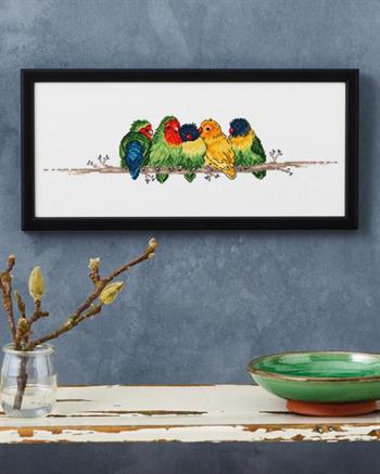 Dværgpapegøjer, billede